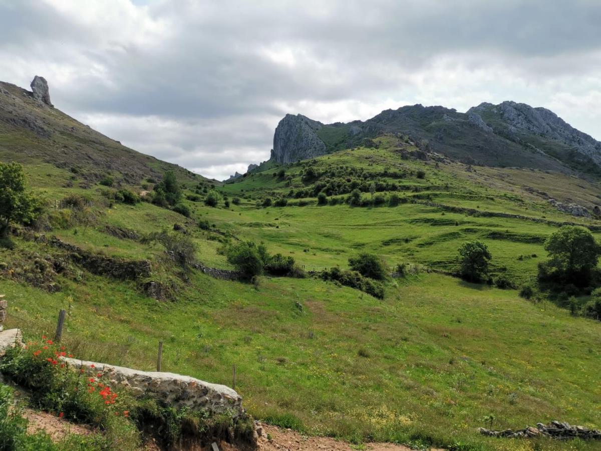 Vivienda Turistica Cueto Larama Vut-Le-860 Βίλα Villafeliz Εξωτερικό φωτογραφία